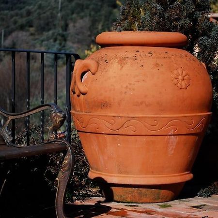 Conca Di Sopra Home Corsanico-Bargecchia Dış mekan fotoğraf