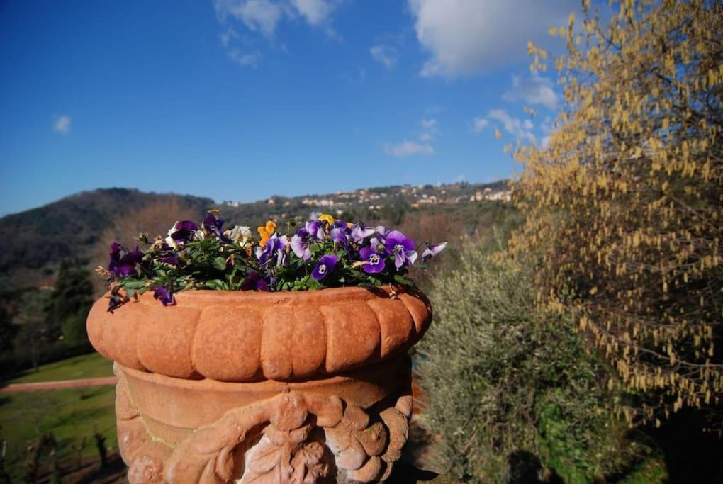 Conca Di Sopra Home Corsanico-Bargecchia Dış mekan fotoğraf