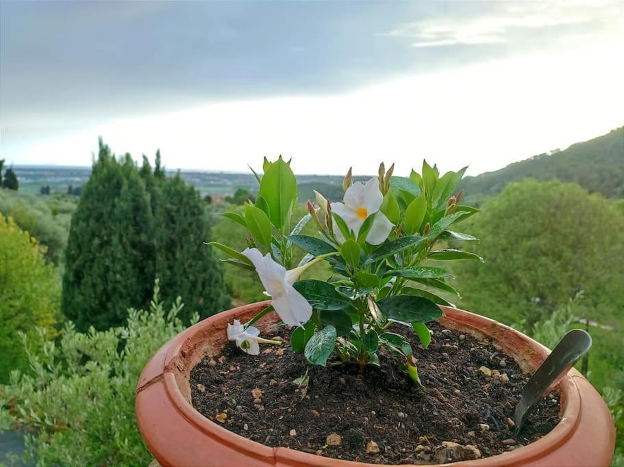Conca Di Sopra Home Corsanico-Bargecchia Dış mekan fotoğraf